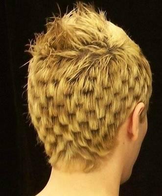 รูปภาพ:http://hairshines.net/wp-content/uploads/2014/10/crazy-haircuts-for-mencrazy-hairstyles-for-girls-women-hairstyles-2015-men-hairstyles-uws4nsna.jpg