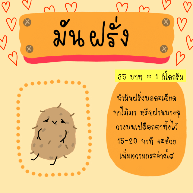 รูปภาพ: