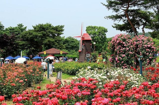 รูปภาพ:http://thongtinhanquoc.com/wp-content/uploads/2014/10/tthq-seoul-grand-park.jpg