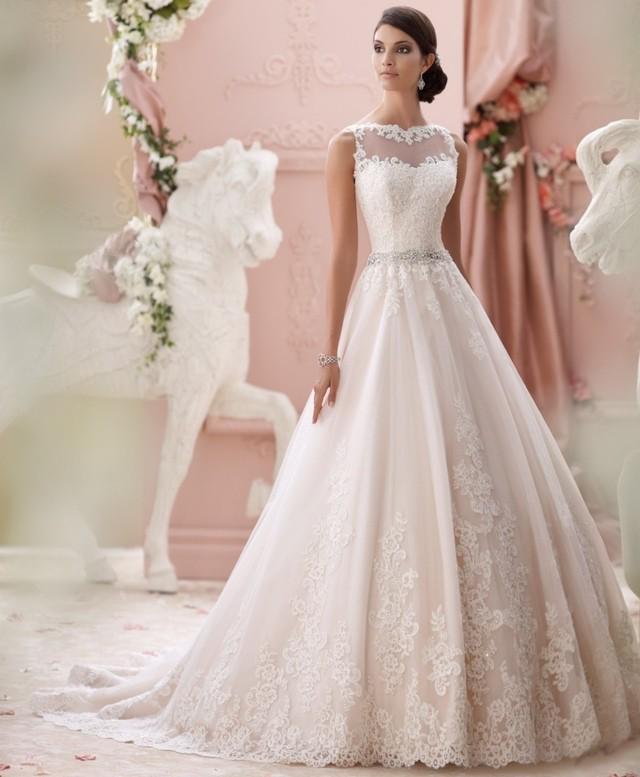 รูปภาพ:https://ae01.alicdn.com/kf/HTB1LXEsJXXXXXauXpXXq6xXFXXXE/Sexy-Backless-Wedding-Dresses-Luxury-Vintage-Wedding-Dress-Lace-2015-Vestido-De-Noiva-Vintage-Wedding-Gown.jpg
