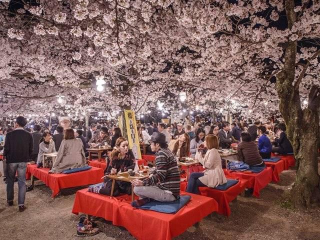 รูปภาพ:http://static1.businessinsider.com/image/559bfa8f6bb3f7873afc8f89-1200/the-springtime-hanami-festivals-in-maruyama-park-are-especially-breathtaking.jpg