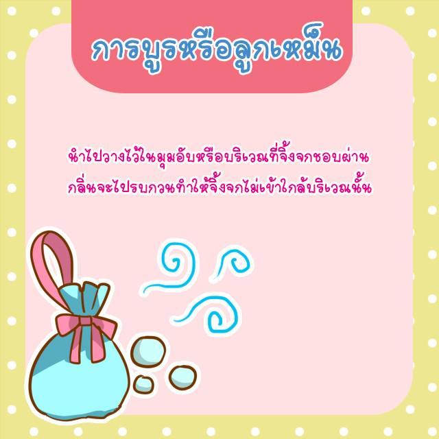 รูปภาพ: