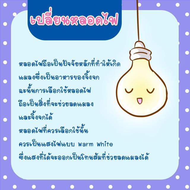 รูปภาพ: