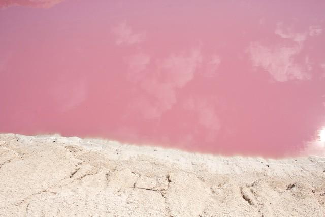 รูปภาพ:http://www.greenandturquoise.com/wp-content/uploads/2016/12/Las-Coloradas-Pink-Lake-1.jpg