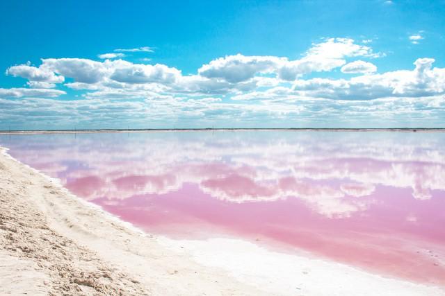 รูปภาพ:http://www.greenandturquoise.com/wp-content/uploads/2016/12/Las-Coloradas-Pink-Lake-4.jpg