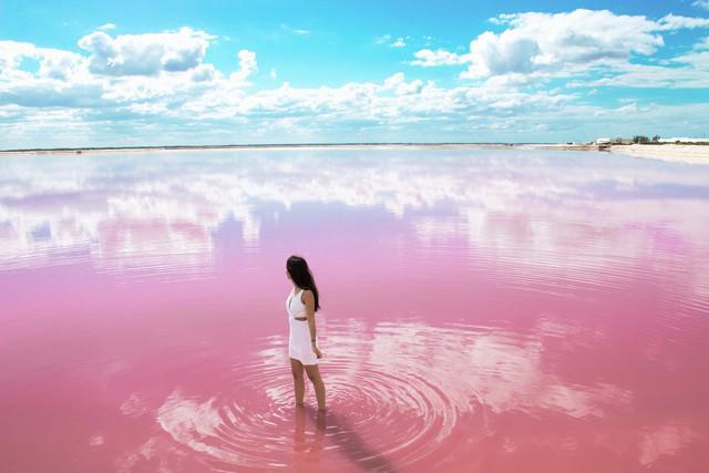 รูปภาพ:http://www.greenandturquoise.com/wp-content/uploads/2016/12/Las-Coloradas-Pink-Lake.jpg