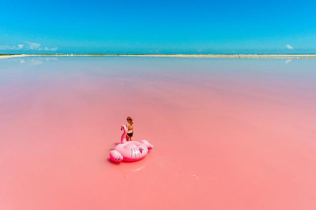 รูปภาพ:https://photos.smugmug.com/North-America/Mexico/Yucatan/i-H39f3nt/0/XL/las-coloradas-flamingo-XL.jpg