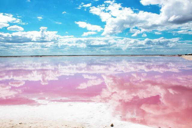 รูปภาพ:http://www.greenandturquoise.com/wp-content/uploads/2016/12/Las-Coloradas-Pink-Lake-3.jpg