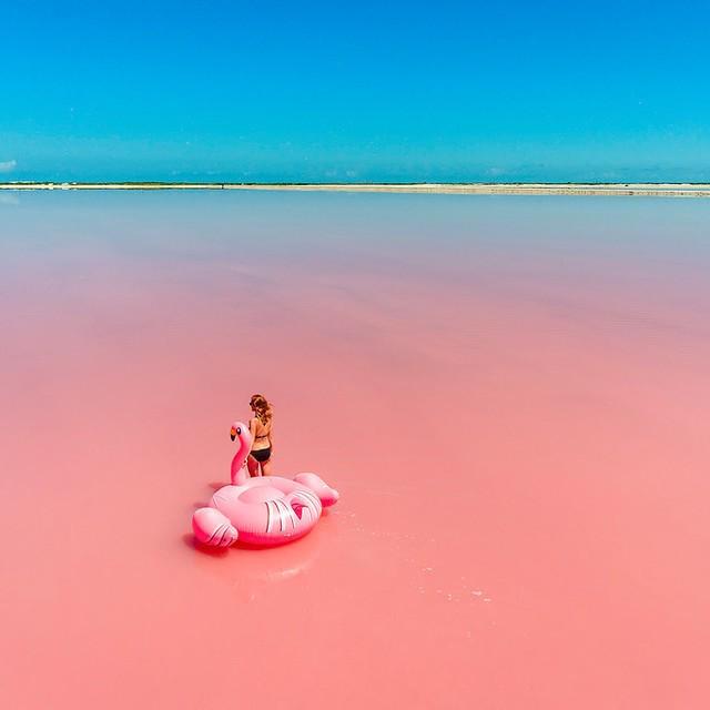 ภาพประกอบบทความ ไม่เชื่อก็ต้องเชื่อ!! "ทะเลสาบสีชมพูในเม็กซิโก" สวยชวนฝันราวกับหลุดไปในโลกเทพนิยาย