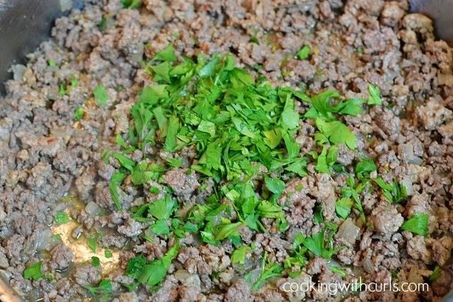 รูปภาพ:http://cookingwithcurls.com/wp-content/uploads/2015/04/Italian-Seasoned-Ground-Beef-parsley-cookingwithcurls.com_.jpg