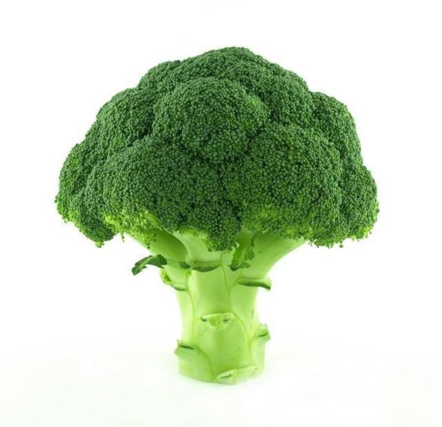 รูปภาพ:http://assets.nydailynews.com/polopoly_fs/1.1700149!/img/httpImage/image.jpg_gen/derivatives/article_970/afp-broccoli-shutterstock.jpg
