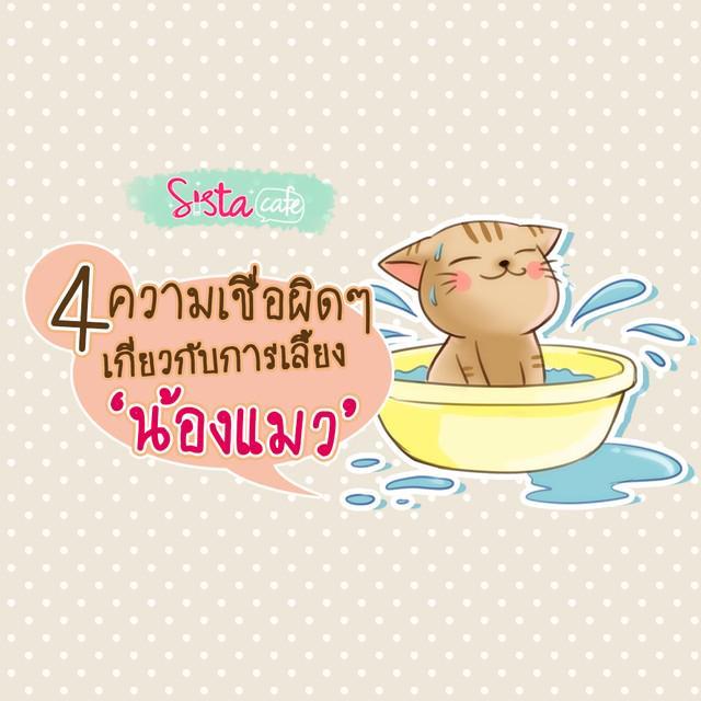 ภาพประกอบบทความ 4 ความเชื่อผิดๆ เกี่ยวกับการเลี้ยง 'น้องแมว'