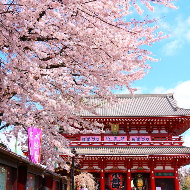 ตัวอย่าง ภาพหน้าปก:ง่ายๆ เที่ยวญี่ปุ่น แบบเข้าถึงวัฒนธรรมจริงๆ กับ Meetrip.to