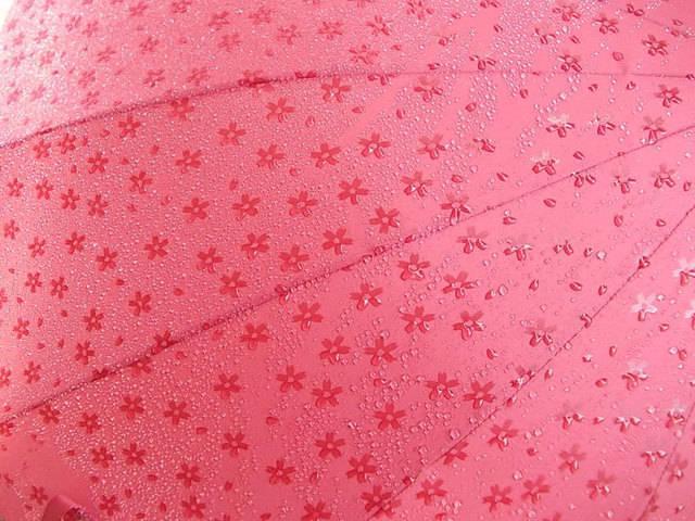 รูปภาพ:http://static.boredpanda.com/blog/wp-content/uploads/2015/09/umbrella-reveals-pattern-wet-japan-14.jpg
