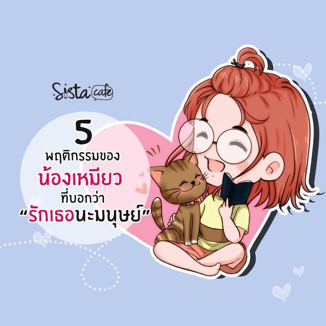 ภาพประกอบบทความ 5 พฤติกรรมของน้องเหมียวที่บอกว่า 'รักเธอนะมนุษย์' ❤