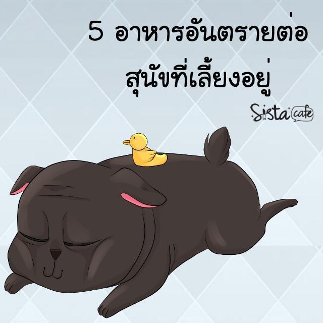 ภาพประกอบบทความ 5 อาหารอันตรายต่อสุนัขที่เลี้ยงอยู่