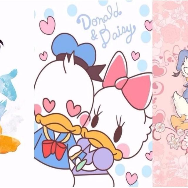 ตัวอย่าง ภาพหน้าปก:ไอเดียวอลเปเปอร์ "Donald Duck" สุดหวาน น่ารักคนเดียว หรือเป็นคู่ก็ได้ !