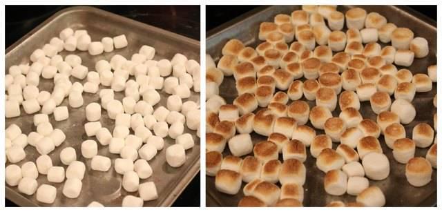 รูปภาพ:http://www.momendeavors.com/wp-content/uploads/2013/06/Broiled-marshmallows.jpg