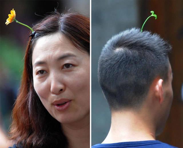 รูปภาพ:http://static.boredpanda.com/blog/wp-content/uploads/2015/10/sprout-hairpins-china-trend-12__700.jpg