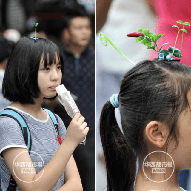ภาพประกอบบทความ Sprout Hair Pins 'กิ๊บผมต้นอ่อน' เทรนด์ใหม่เก๋ๆ ที่ประเทศจีน