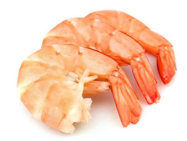 รูปภาพ:http://interactive.wxxi.org/files/images/highlights/shrimp_webcrop.jpg
