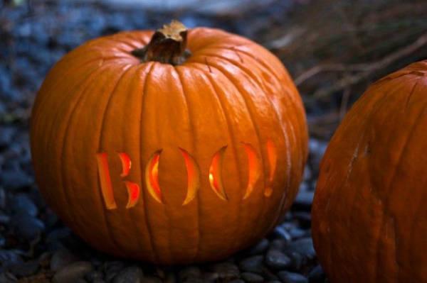 รูปภาพ:http://decor.mthai.com/wp-content/uploads/2014/10/boo-carved-pumpkin.jpg