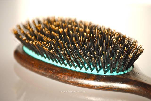 รูปภาพ:http://ommorphiabeautybar.com/wp-content/uploads/2013/12/moroccanoil-classic-brush-bristles.jpg