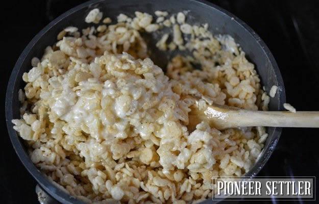 รูปภาพ:http://pioneersettler.com/wp-content/uploads/2014/06/How-to-make-rice-krispie-treats18.jpg