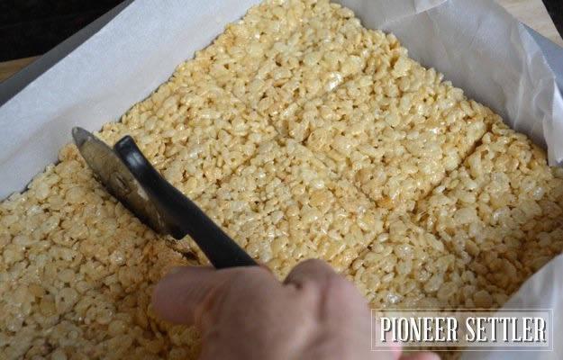 รูปภาพ:http://pioneersettler.com/wp-content/uploads/2014/06/How-to-make-rice-krispie-treats331.jpg