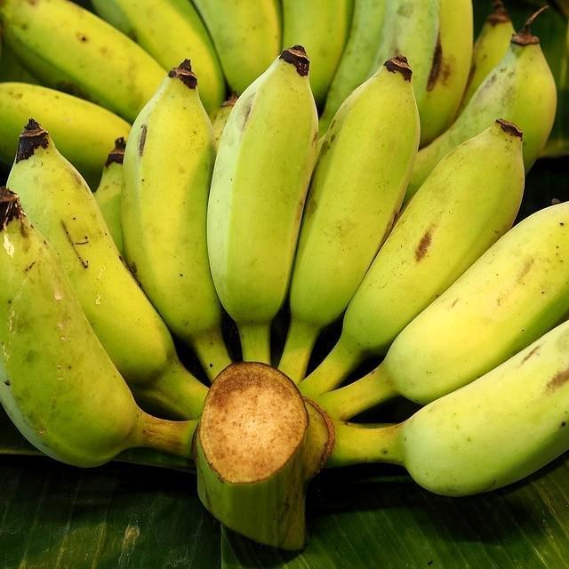 ภาพประกอบบทความ 7 ประโยชน์ของกล้วยน้ำว้าที่สาวๆ อาจไม่รู้มาก่อน
