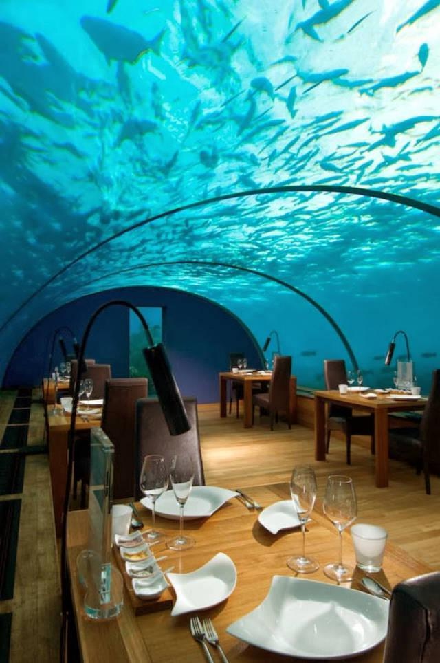 รูปภาพ:http://www.topinspired.com/wp-content/uploads/2014/01/maldives-underwater-restaurant.jpg