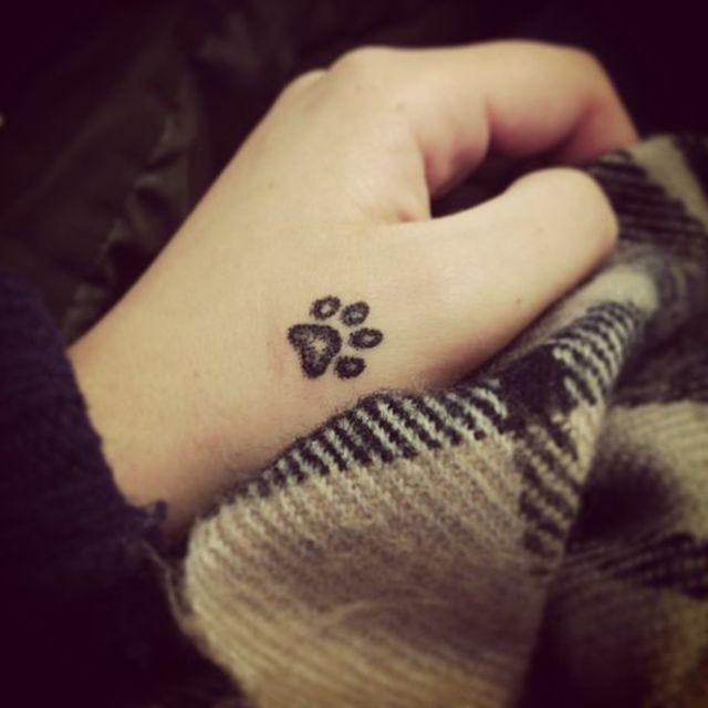 ตัวอย่าง ภาพหน้าปก:20 ไอเดียรอยสัก "Paw Print Tattoos" อุ้งเท้าหมาแมวจิ๋วๆ ประดับบนร่างกายให้ดูน่ารัก!