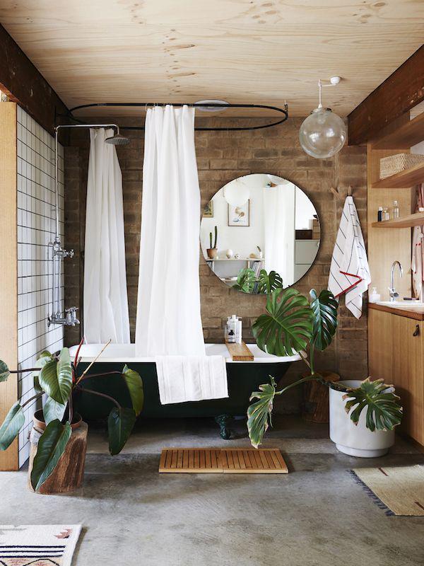 รูปภาพ:https://i.pinimg.com/736x/b4/26/f2/b426f2172241cbd5c4a242e2d9a26286--bathroom-plants-bathroom-ideas.jpg