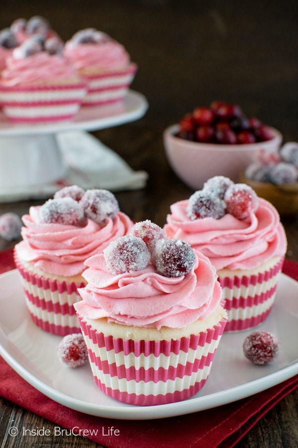 รูปภาพ:https://cf.insidebrucrewlife.com/wp-content/uploads/2016/11/Sparkling-Cranberry-White-Chocolate-Cupcakes-1-1.jpg