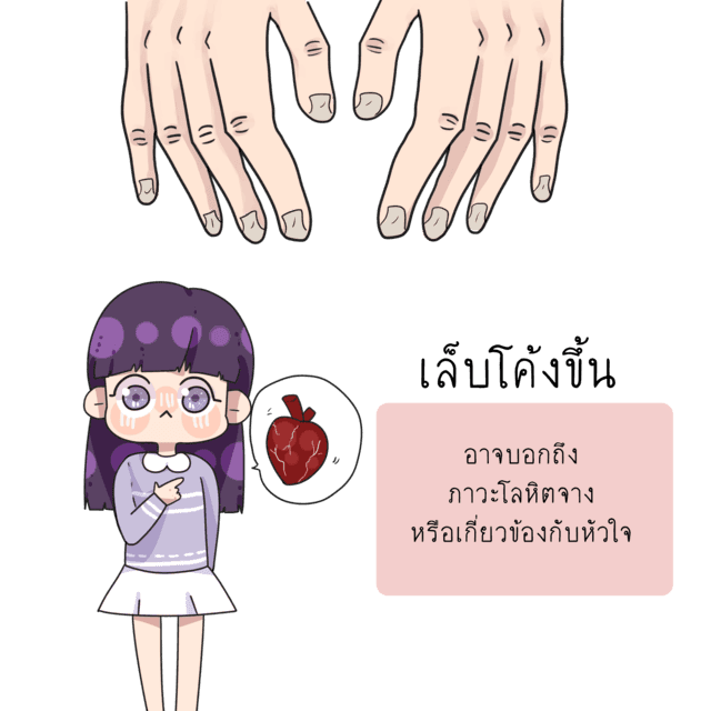 รูปภาพ: