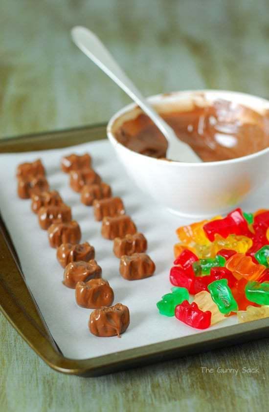 รูปภาพ:https://www.thegunnysack.com/wp-content/uploads/2013/06/Chocolate_Dipped_Gummy_Bear_Ingredients.jpg