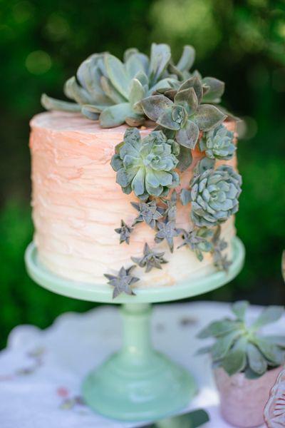 รูปภาพ:http://thewedding.id/wp-content/uploads/2016/07/Gorgeous-ombre-wedding-cake-with-succulents.jpg