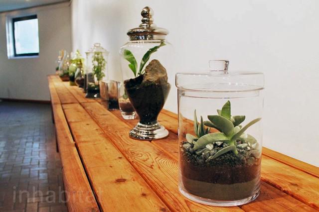 รูปภาพ:https://inhabitat.com/wp-content/blogs.dir/1/files/2012/01/Terrarium-BBG-087.jpg