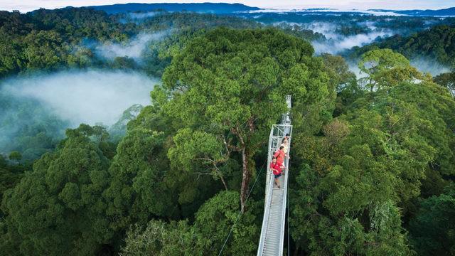 รูปภาพ:https://www.panbright.com/wp-content/uploads/2018/01/temburong-tour-1024x576.jpg