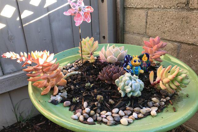 รูปภาพ:https://hips.hearstapps.com/hmg-prod.s3.amazonaws.com/images/succulent-birdbath-garden-idea-1524679469.jpg