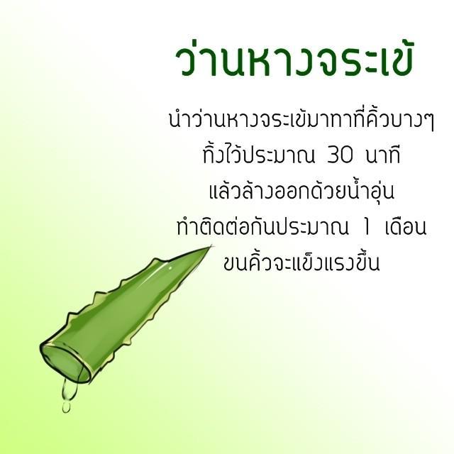 รูปภาพ: