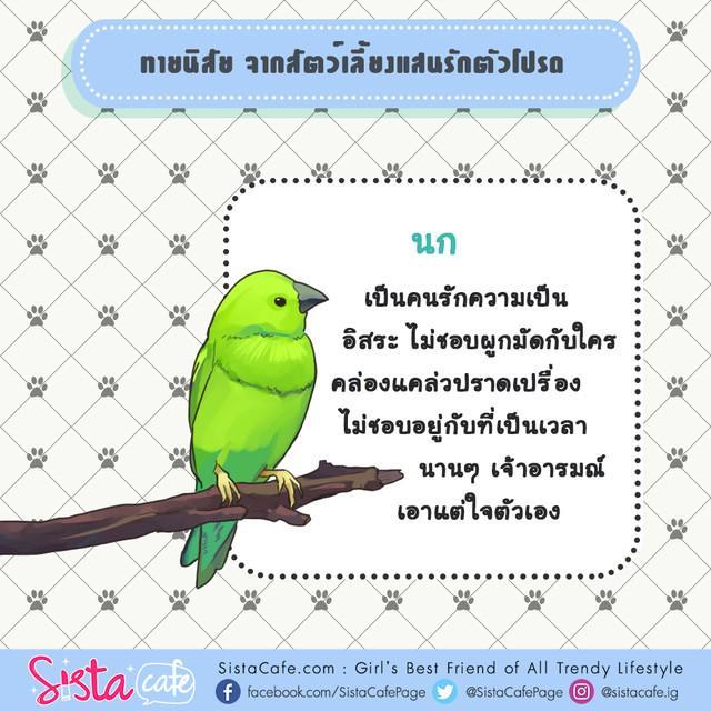 รูปภาพ: