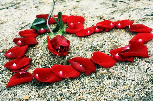 รูปภาพ:http://www.creativefan.com/important/cf/2012/08/pictures-of-hearts-and-roses/heart-of-rose-petals.jpg