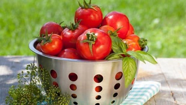 รูปภาพ:https://i.ndtvimg.com/i/2018-05/side-effects-of-tomatoes_620x350_41525353188.jpg