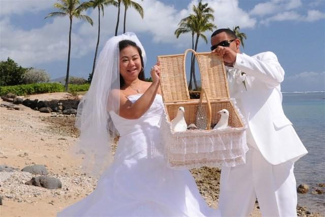 รูปภาพ:http://www.hawaiiweddingvendors.com/doves/weddingdoves.jpg