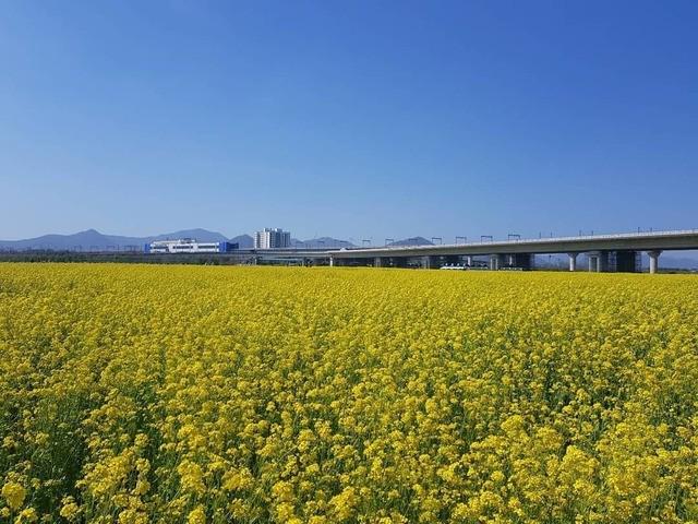 รูปภาพ:https://www.instagram.com/p/BhsZ5LSHX9V/?tagged=daejeoecologicalpark