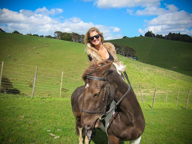รูปภาพ:http://theblondeabroad.com/wp-content/uploads/2014/11/NZ-Horse.jpg