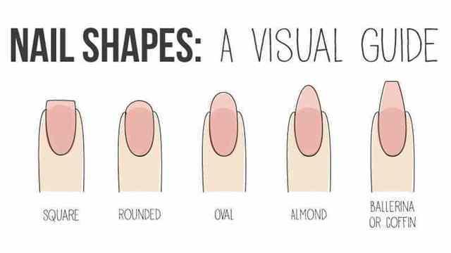 รูปภาพ:https://i1.wp.com/flawlessend.com/wp-content/uploads/2017/05/1495890900_134_How-to-Choose-the-Best-Nail-Shape-for-Your-Fingers.jpg?resize=800%2C450&ssl=1