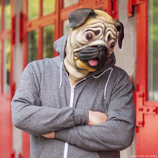 รูปภาพ:http://pixel.brit.co/wp-content/uploads/2014/11/29-PugMask.jpg