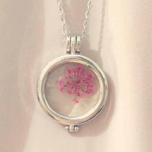 รูปภาพ:http://cdn.blossomaccessories.co.za/content/images/thumbs/0001395_pink-pressed-flower-necklace-accessory.jpeg